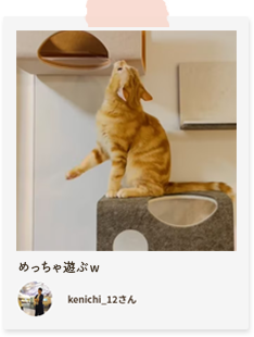 マグネット式キャットウォーク 猫壁－にゃんぺき 【LIXILオンライン