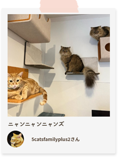 マグネット式キャットウォーク 猫壁－にゃんぺき 【LIXILオンライン